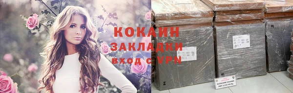 гидра Арсеньев