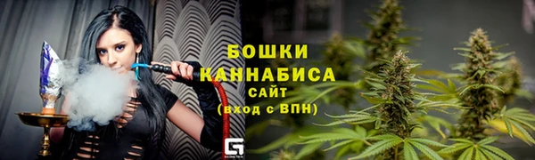 гидра Арсеньев