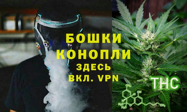 гидра Арсеньев