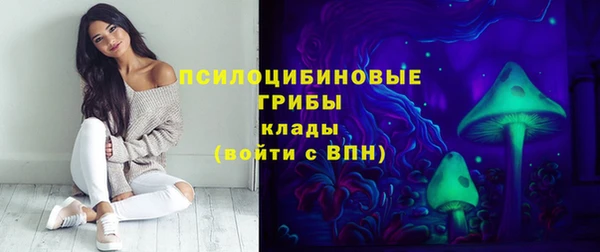 гидра Арсеньев