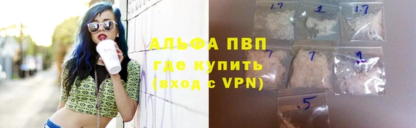 гидра Арсеньев