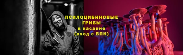 гидра Арсеньев