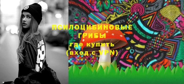 индика Армянск