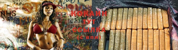 гидра Арсеньев