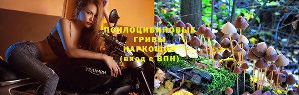 меф Аркадак