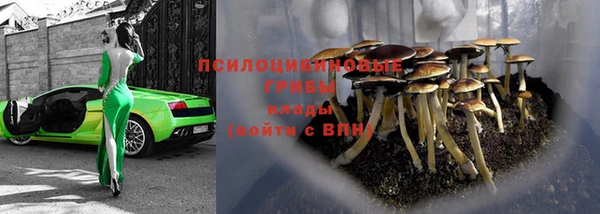 гидра Арсеньев